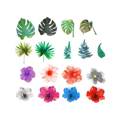 Fototapete Tropische Pflanzen Isolated flowers drawn watercolor. Design for cards, banners.