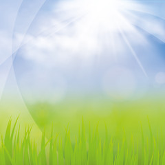 Obraz premium Bokeh Background 