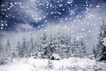 Obraz premium Christmas background with snowy fir trees
