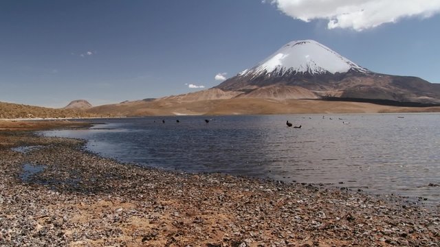 View to the Chungara lake and Parinacota volcano in Lauca National Park, Chile.