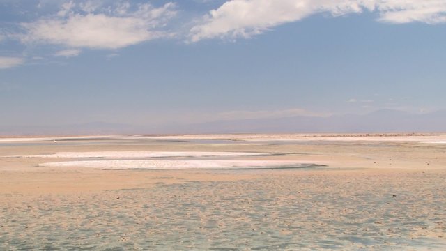 Blue sky and the salt lake with flamingos in Atacama desert, Chile.