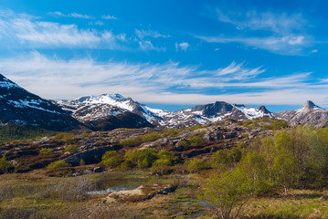 Fototapeta na wymiar High norwegian mountain pass in sunny summer day