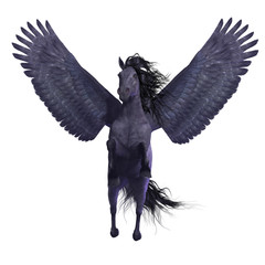 Black Pegasus on White - Pegasus is a divine mythical creature that has the form of a winged stallion horse.
