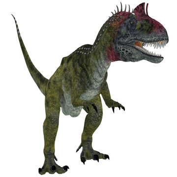Cryolophosaurus on White - Cryolophosaurus was a theropod dinosaur that lived in Antarctica during the Jurassic Period.