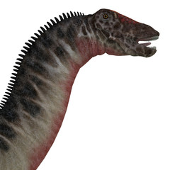 Dicraeosaurus Dinosaur Head - Dicraeosaurus was a sauropod herbivorous dinosaur that lived in the Jurassic Era of Tanzania, Africa. © Catmando
