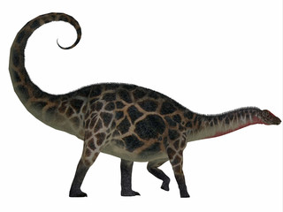 Dicraeosaurus Side Profile - Dicraeosaurus was a sauropod herbivorous dinosaur that lived in the Jurassic Era of Tanzania, Africa. © Catmando
