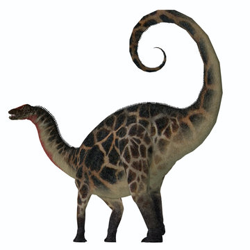 Dicraeosaurus Dinosaur Tail - Dicraeosaurus was a sauropod herbivorous dinosaur that lived in the Jurassic Era of Tanzania, Africa.
