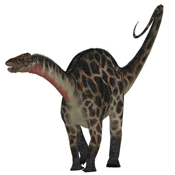 Dicraeosaurus on White - Dicraeosaurus was a sauropod herbivorous dinosaur that lived in the Jurassic Era of Tanzania, Africa.