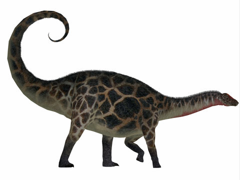 Dicraeosaurus Side Profile - Dicraeosaurus was a sauropod herbivorous dinosaur that lived in the Jurassic Era of Tanzania, Africa.