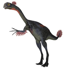 Gigantoraptor Dinosaur on White - Gigantoraptor was a theropod dinosaur that lived in Inner Mongolia, China in the Cretaceous Period.