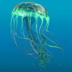 Naklejka premium Glow Green Jellyfish - The jellyfish is a predator of the oceans and feeds on small fish and zooplankton.