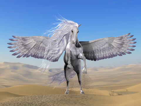 White Pegasus in Desert - Pegasus is a divine Greek mythical creature that has the form of a white winged horse.