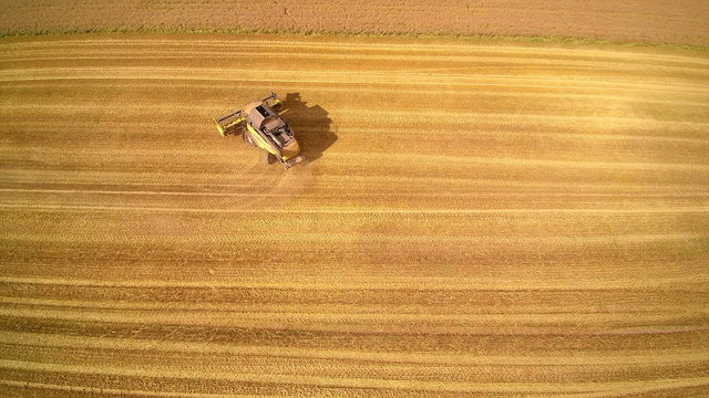 Yellow harvester turning around the field almost done with the harvesting of the crops