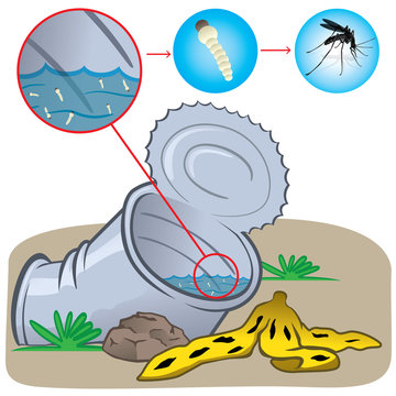 Dengue bilder – Bläddra bland 18,643 stockfoton, vektorer och videor ...