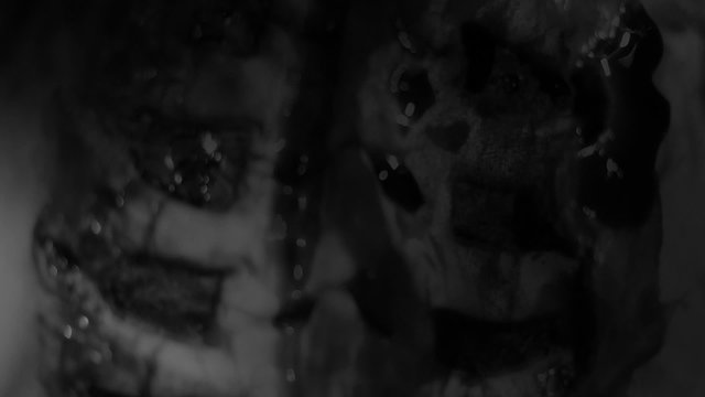 Black and white horror medium length flashes clip montage 