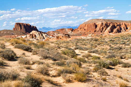 Desert of southern Nevada, Valley of Fire State Park, USA