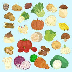 vegetable collections set