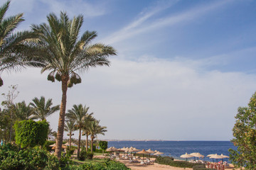 Fototapeta na wymiar Egyptian sand beach.