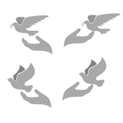 gift /freedom dove