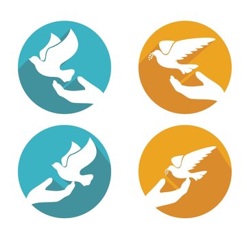 gift /freedom dove icon