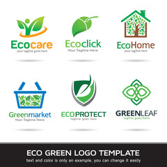 Eco Green Leaf Logo Template Design Vector