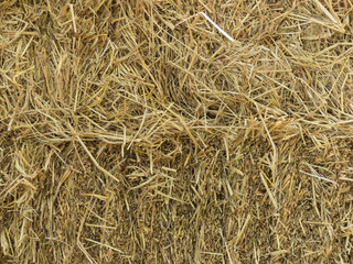 Yellow straw pile 