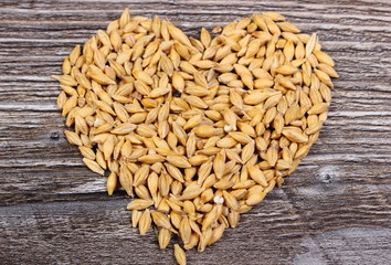Heart of barley grain on wooden background