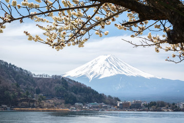  Fuji lanscape view with a kawaguchiko lake