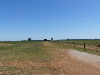 Rural fence line 
