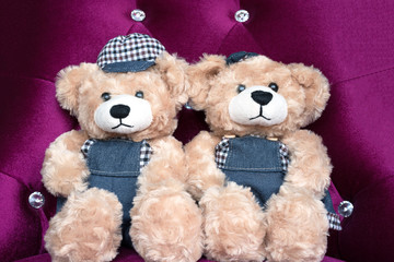 two teddy bears on violet chair, concept love