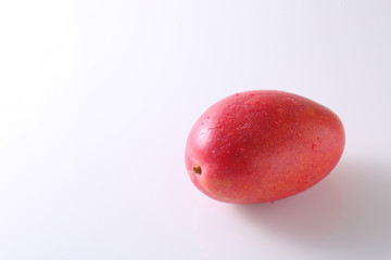 Mango Fruit