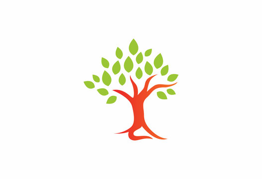 oak tree of life nature logo