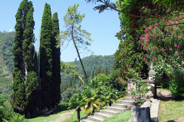 Obraz premium Cozy Corner New Athos, Abkhazia Kaparis and flowers in the courtyard of the New Athos 