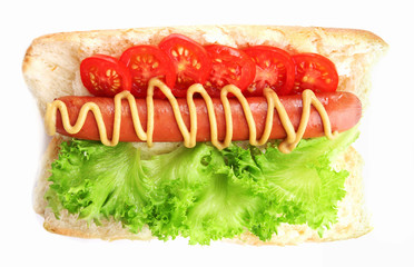 Fresh hot dog isolated on white