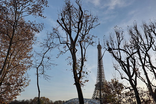 Tour Eiffel et arbres en hiver