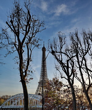 Tour Eiffel et arbres en hiver