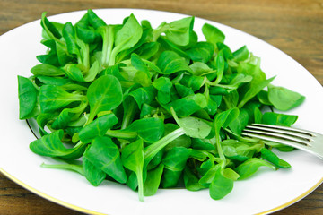 Green Fresh Salad on Plate.
