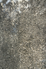 Old concrete wall with bricks background