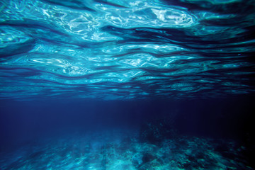 Fototapeta na wymiar underwater