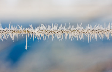 Ice crystals on a wire