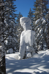 Снежные скульптуры, созданные природой, зимний лес, природный парк Таганай