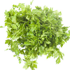 Fresh parsley on white background