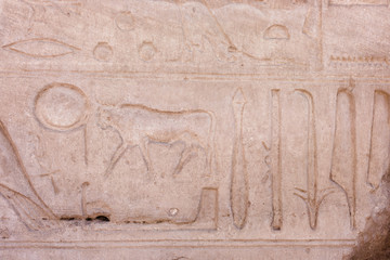 Egyptian hieroglyphs. Hieroglyphic carvings on a wall