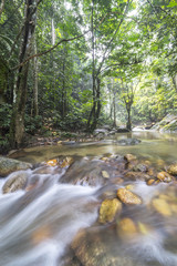 Natural flow of water stream at tropical forest