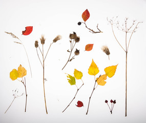 осенний набор настроение