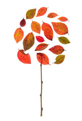 дерево из  листьев