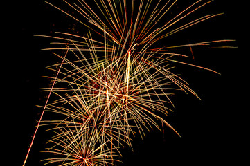 Fireworks light up the sky