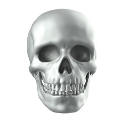 Human skull on white background with clipping path