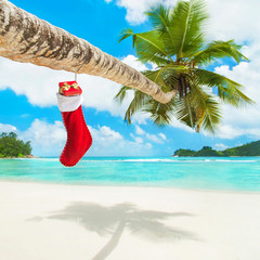 Christmas sock with gifts on palm tree at exotic beach © EMrpize