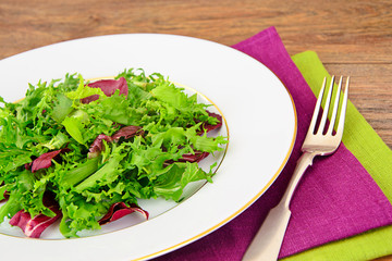 Salad Mix Batavian, Frise, Radicchio, Chicory, Dietary Mel end E